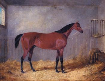 約翰 弗雷德裡尅 赫爾林 The Duke Of Grafton's Bolivar In A Stable